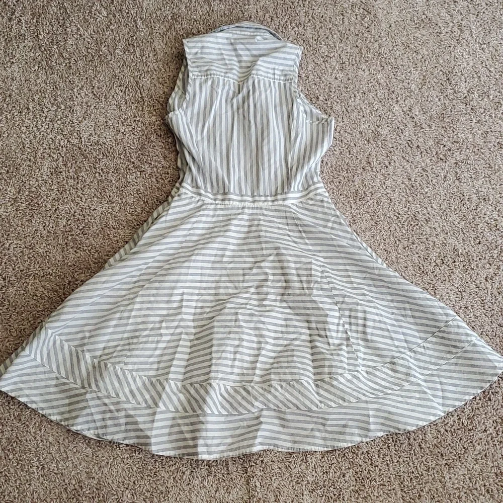 Express Striped Button-up Collared Dress - Picture 5 of 6